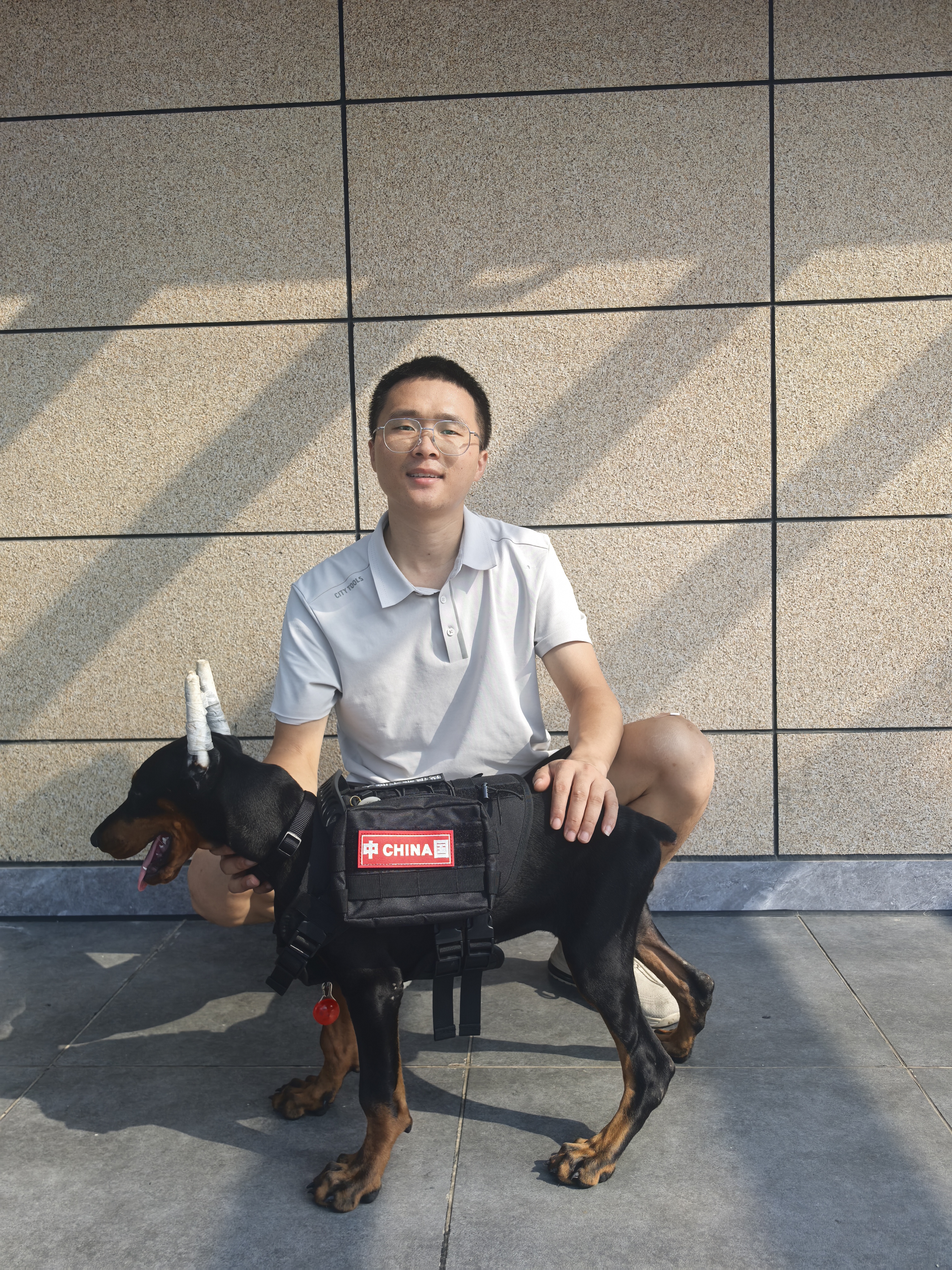 纯种双血统杜宾（父母带血统证书）
